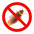Защита от тараканов